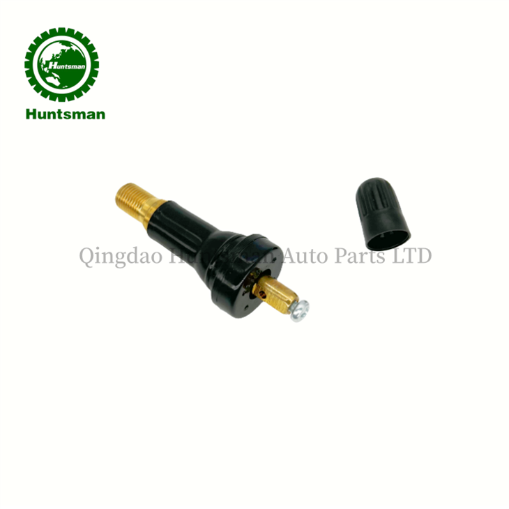sensor tyre valve